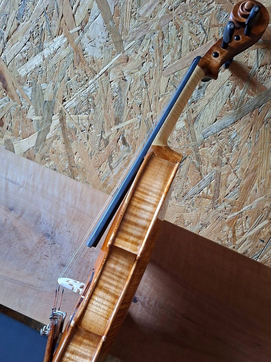 Bočni pogled na tijelo violine i hvataljku