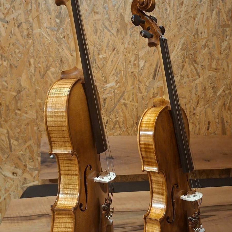 Podešavanje violine — dvije gotove violine sa kobilicom i žicama