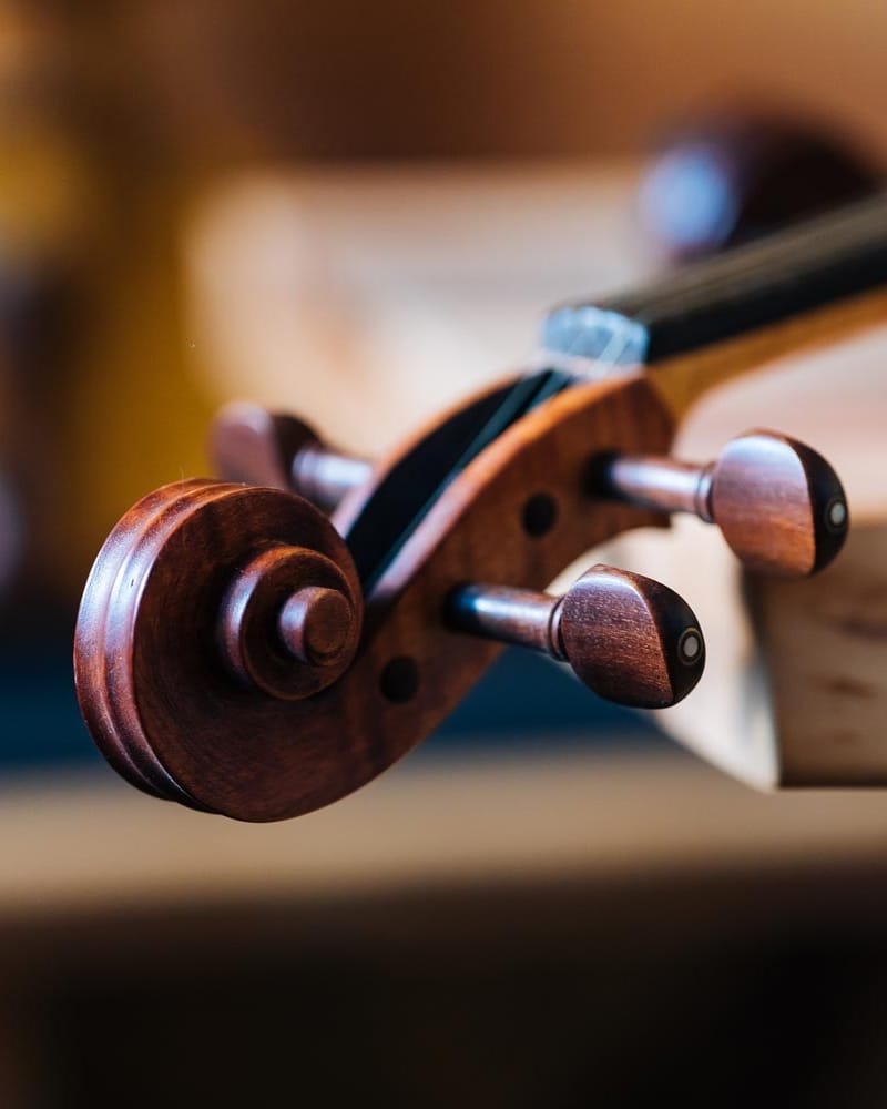 Hand-carved violin scroll with pegs, close up
