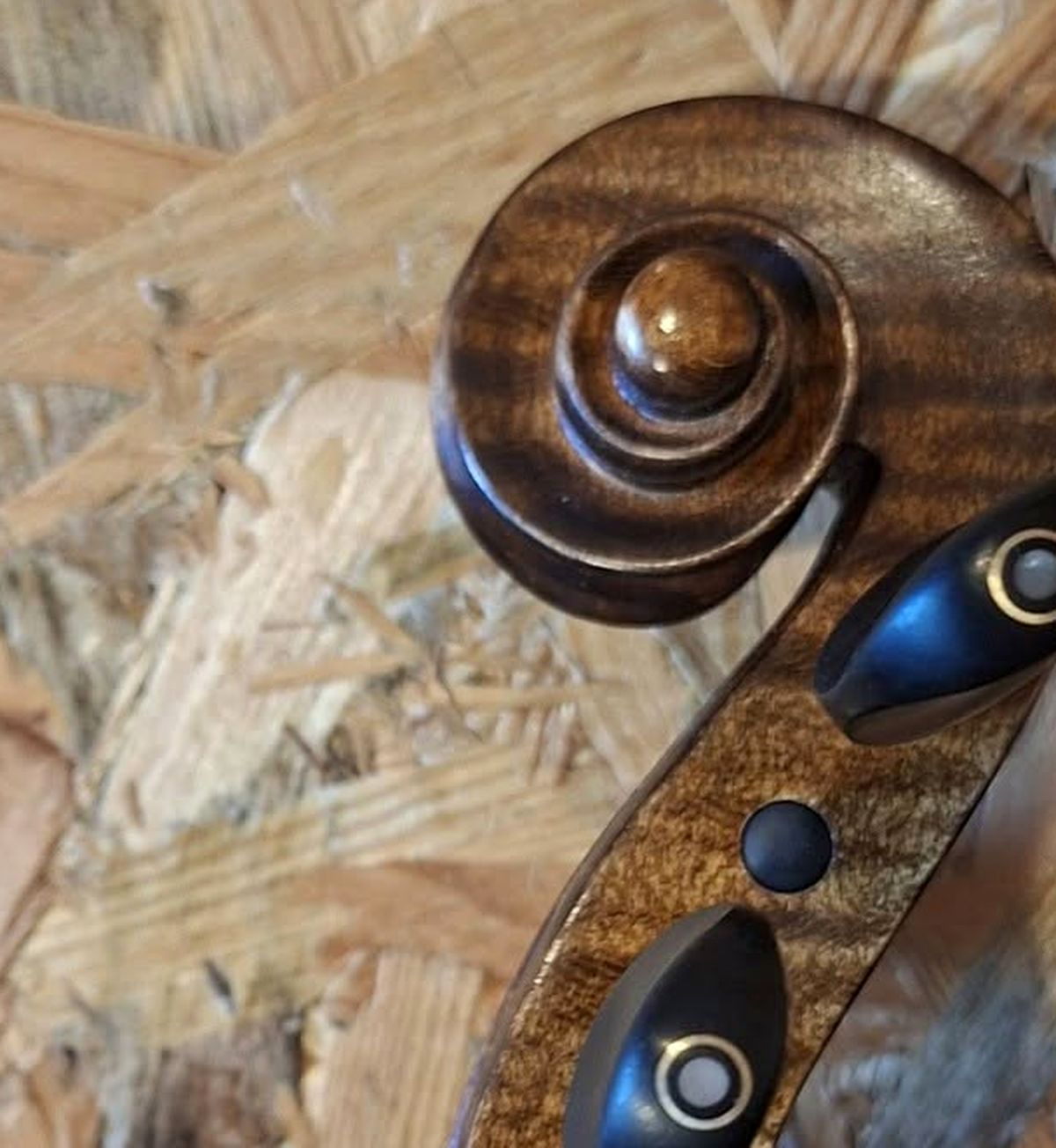 Ručno rezbaren puž violine sa čavijama od ebanovine