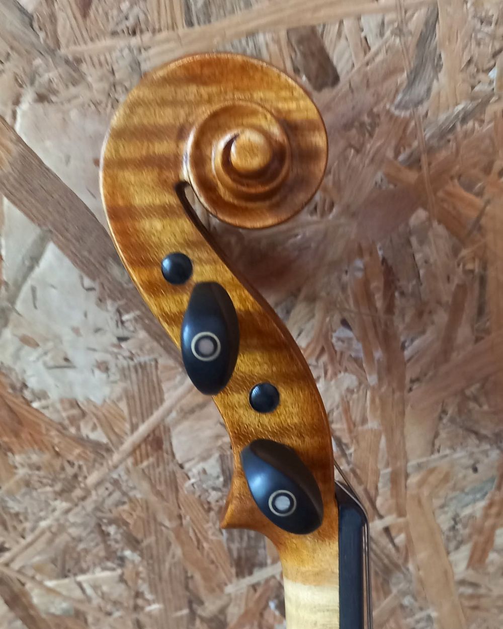 Ručno rezbaren puž violine sa čavijama od ebanovine
