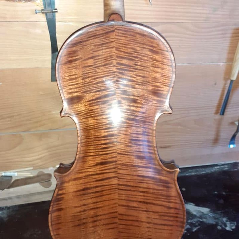 Dno violine nakon restauracije — očišćen javor i obnovljen sjaj laka